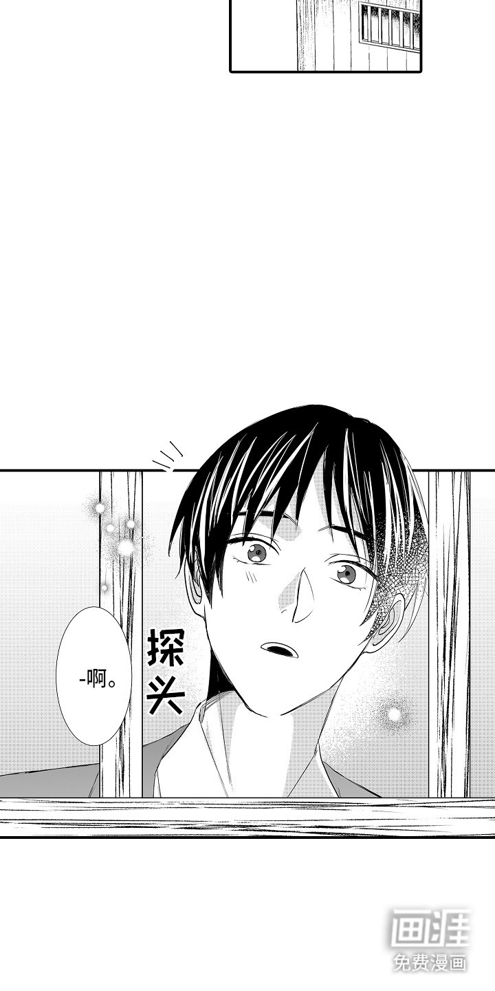 第1章：人与动物