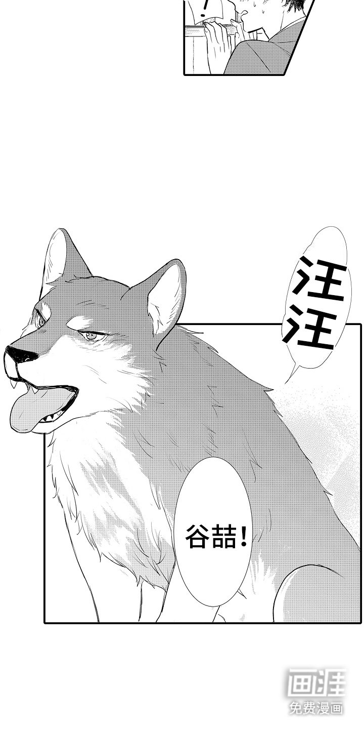 第1章：人与动物