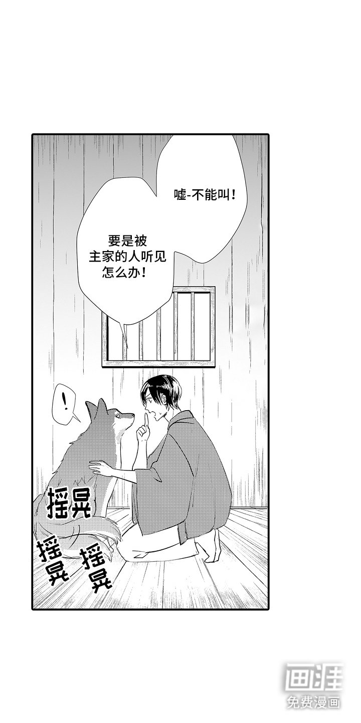 第1章：人与动物