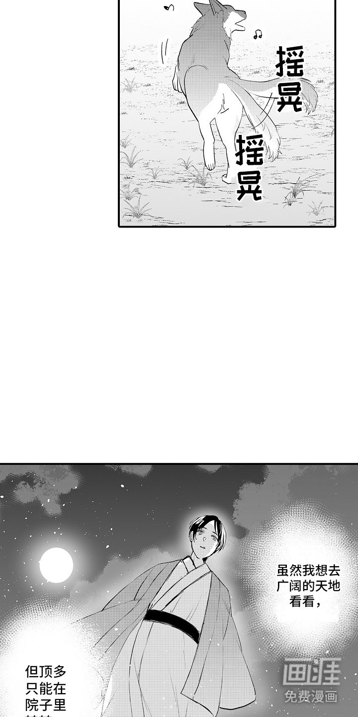 第3章：被发现