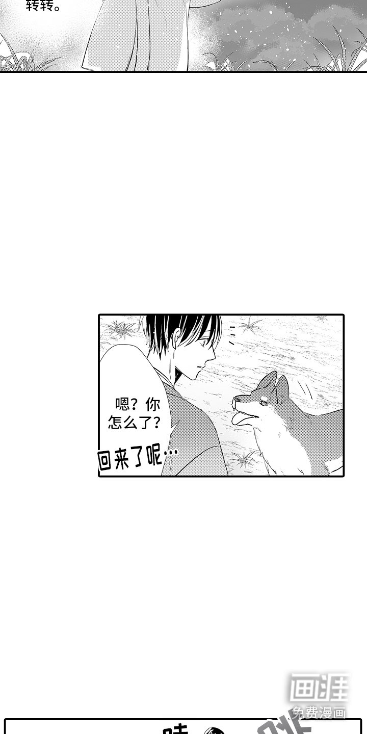 第3章：被发现