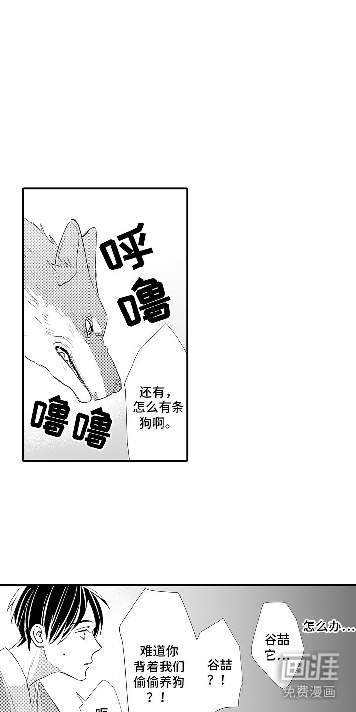 第3章：被发现