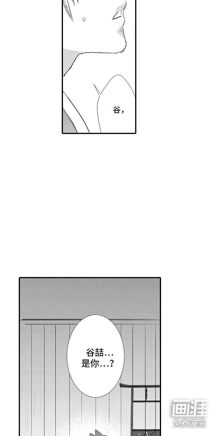 第5章：保护你