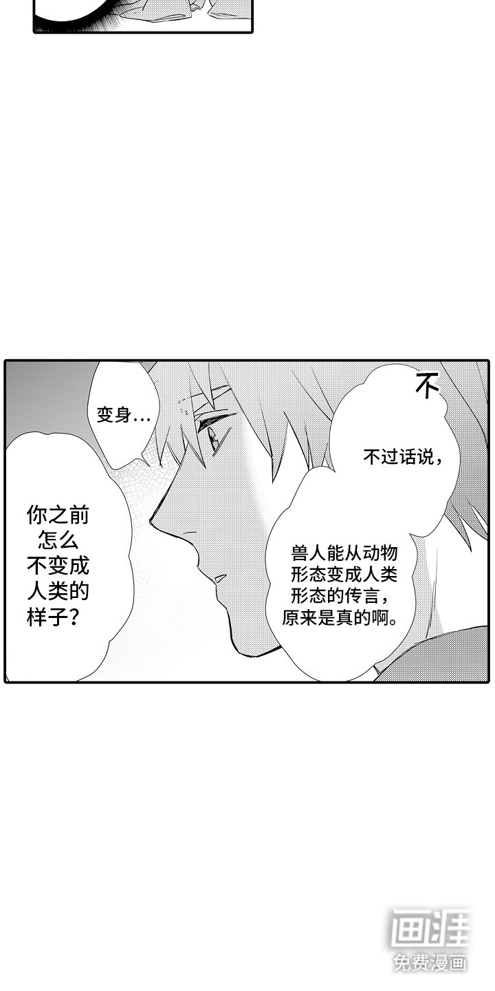 第5章：保护你