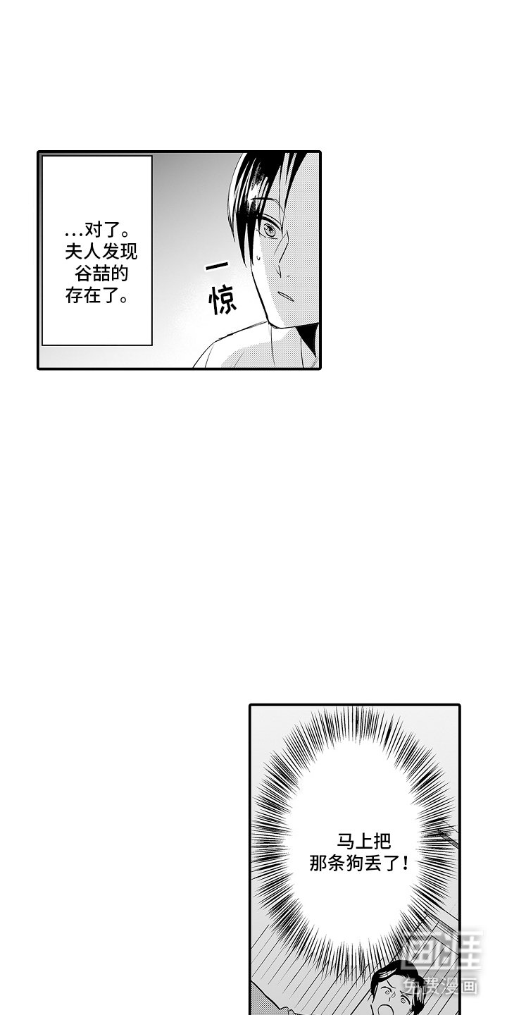 第5章：保护你