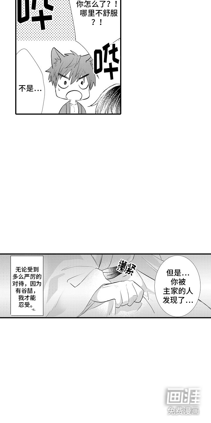 第6章：喜欢你