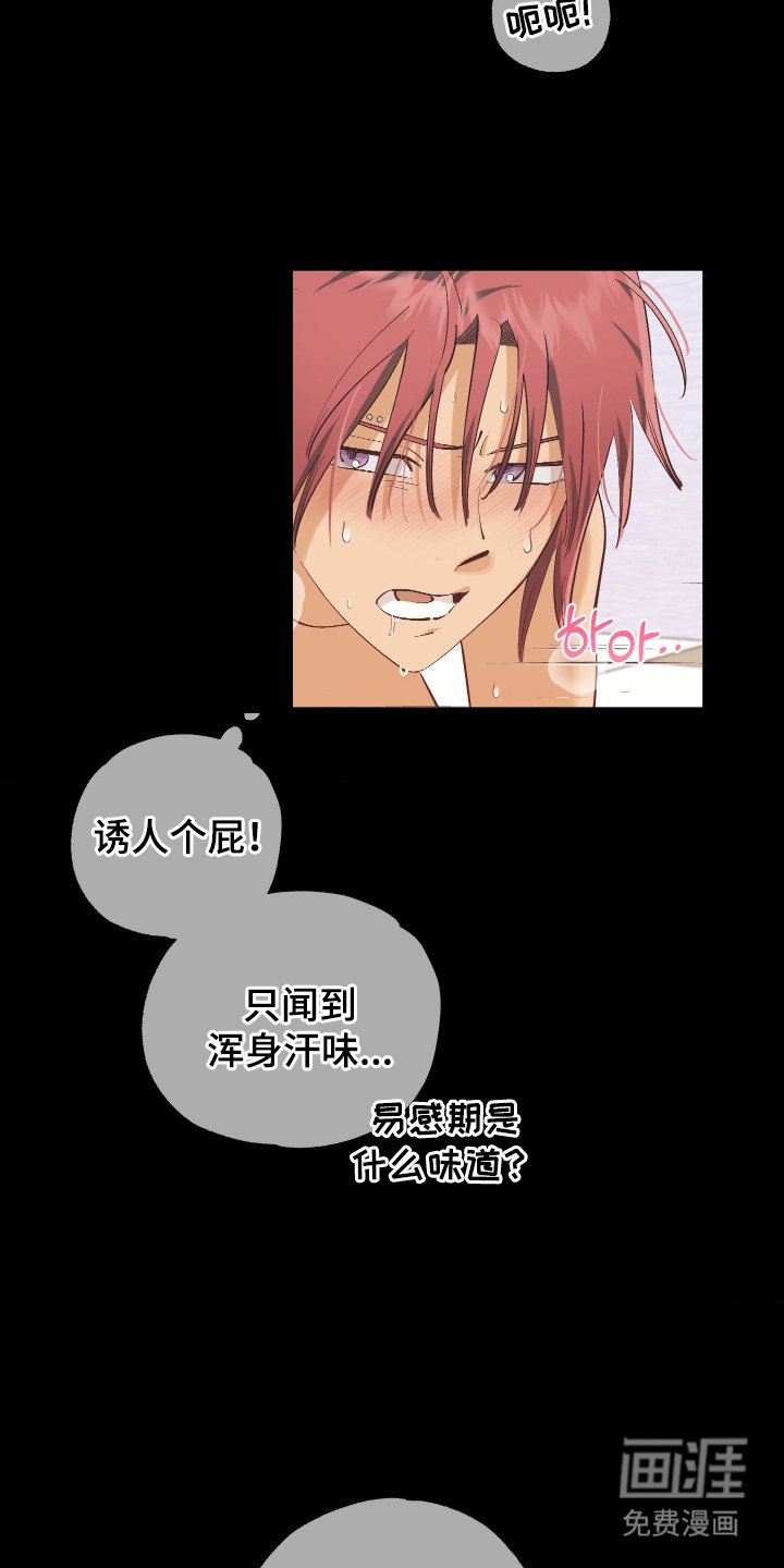 第5章：不要报警