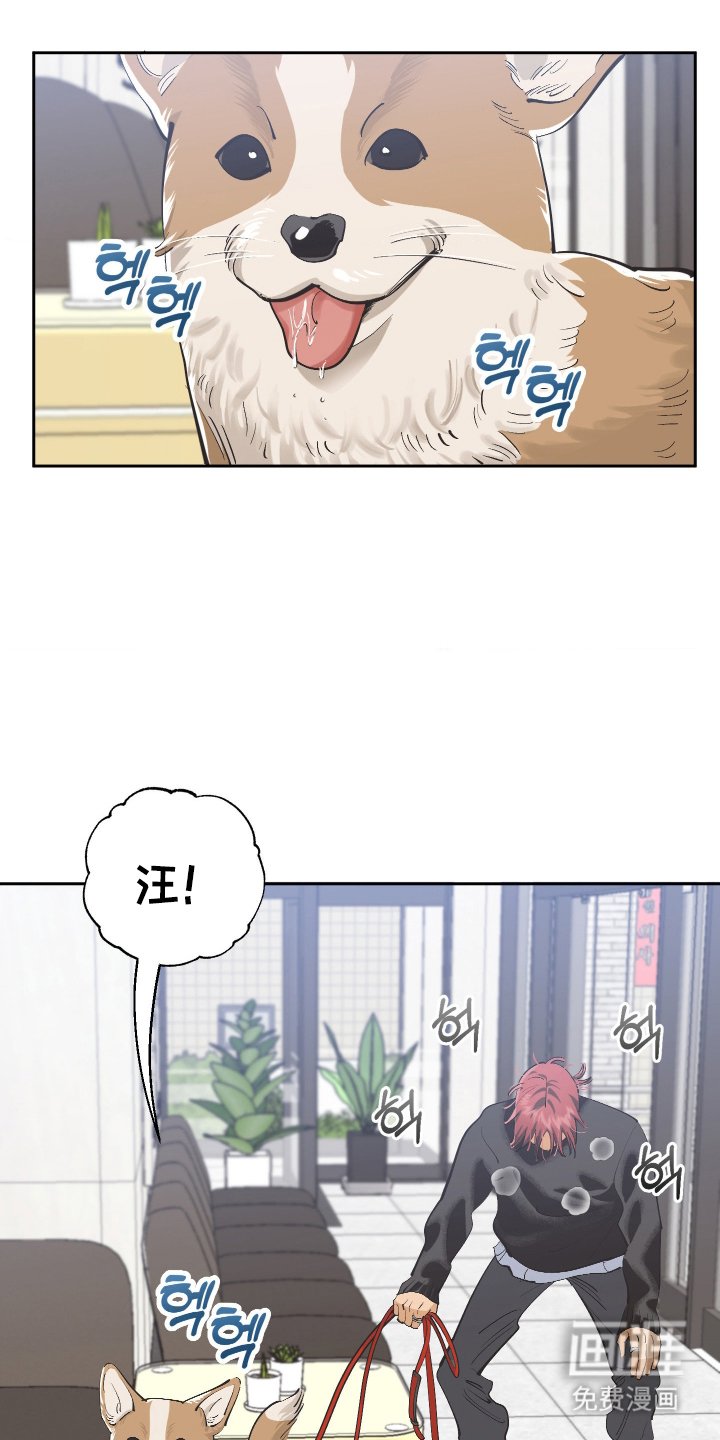 第6章：一个月