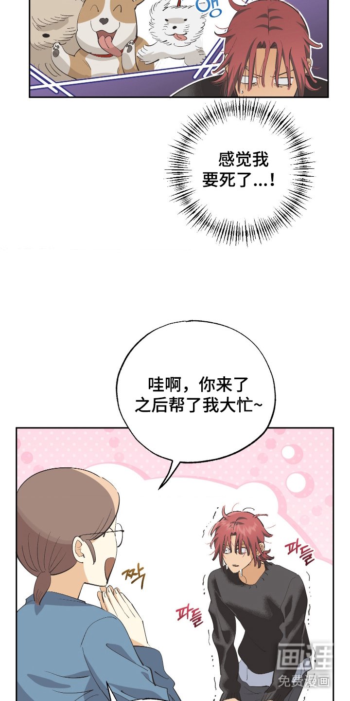 第6章：一个月