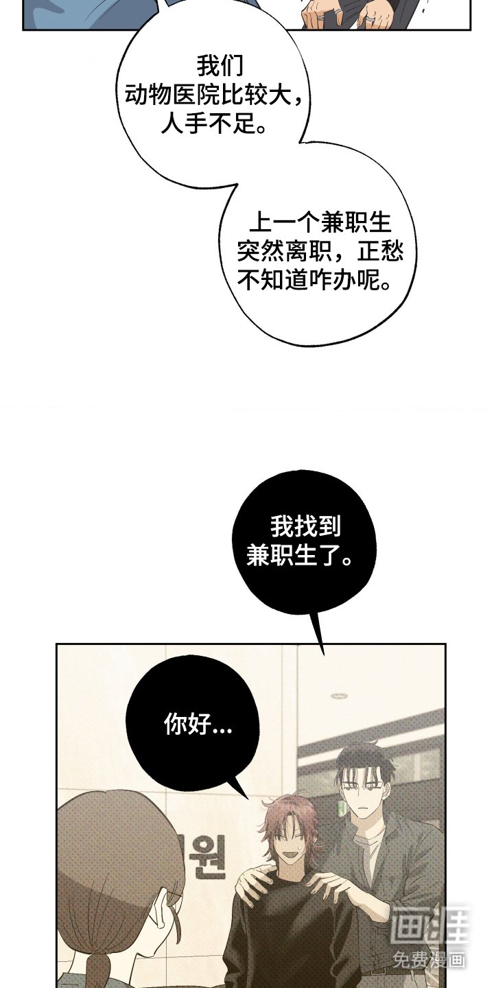 第6章：一个月
