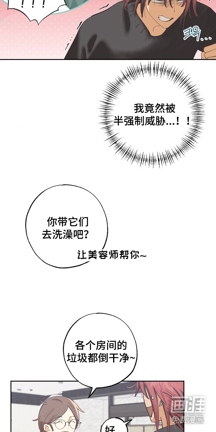 第6章：一个月