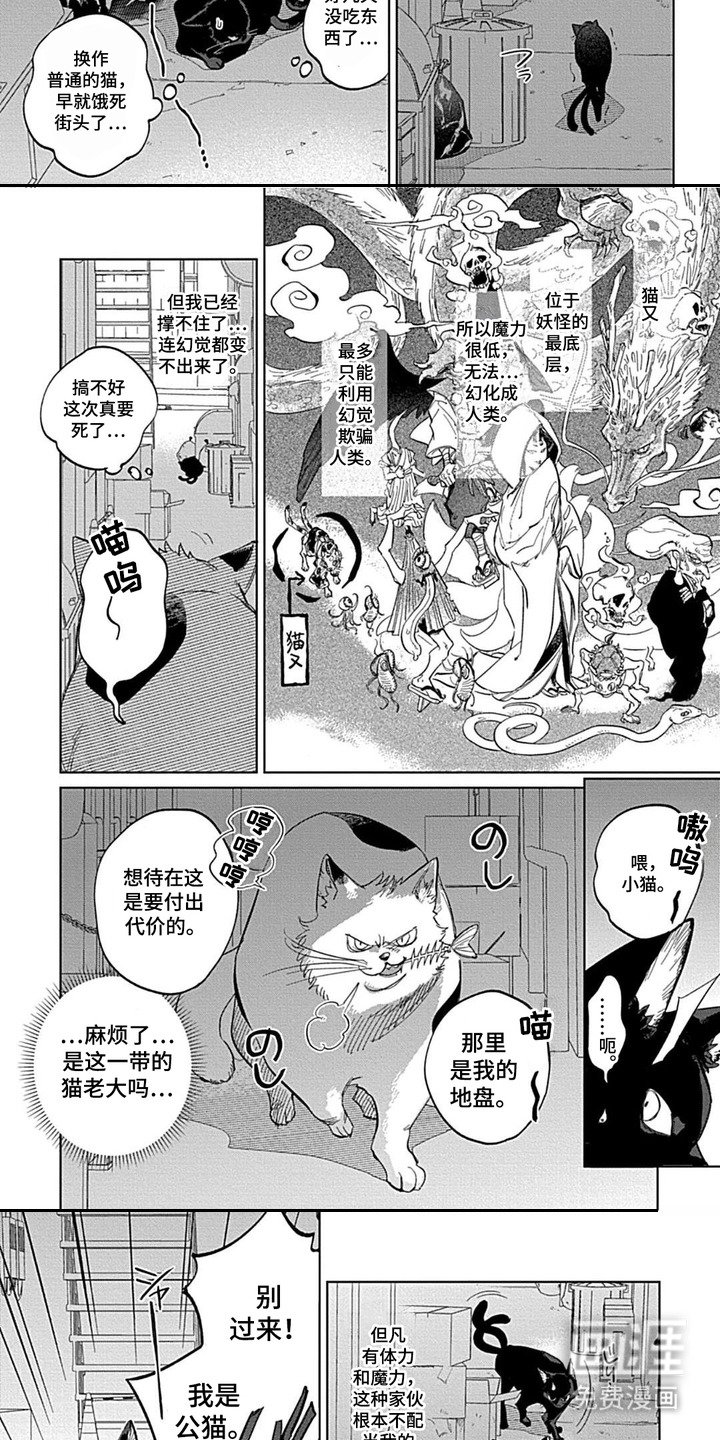 第1章：猫又