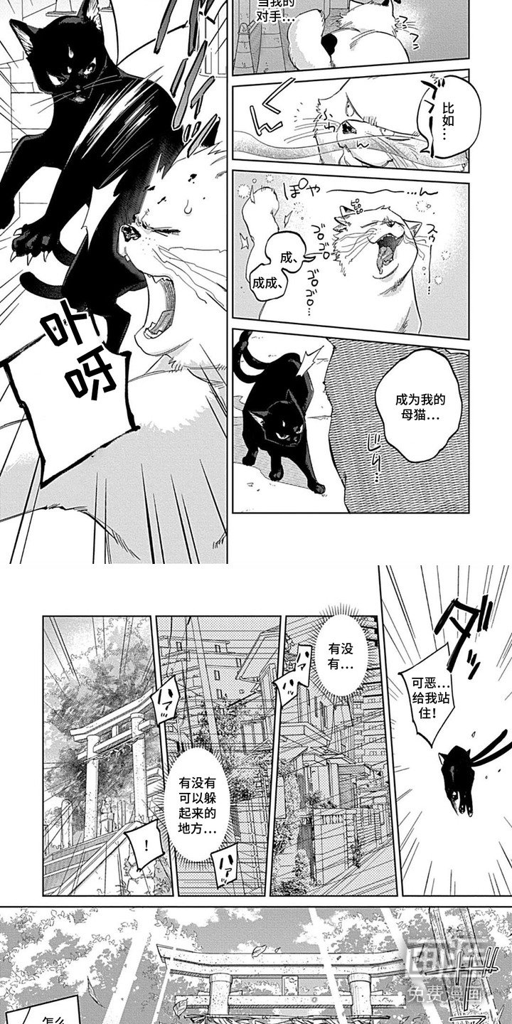 第1章：猫又