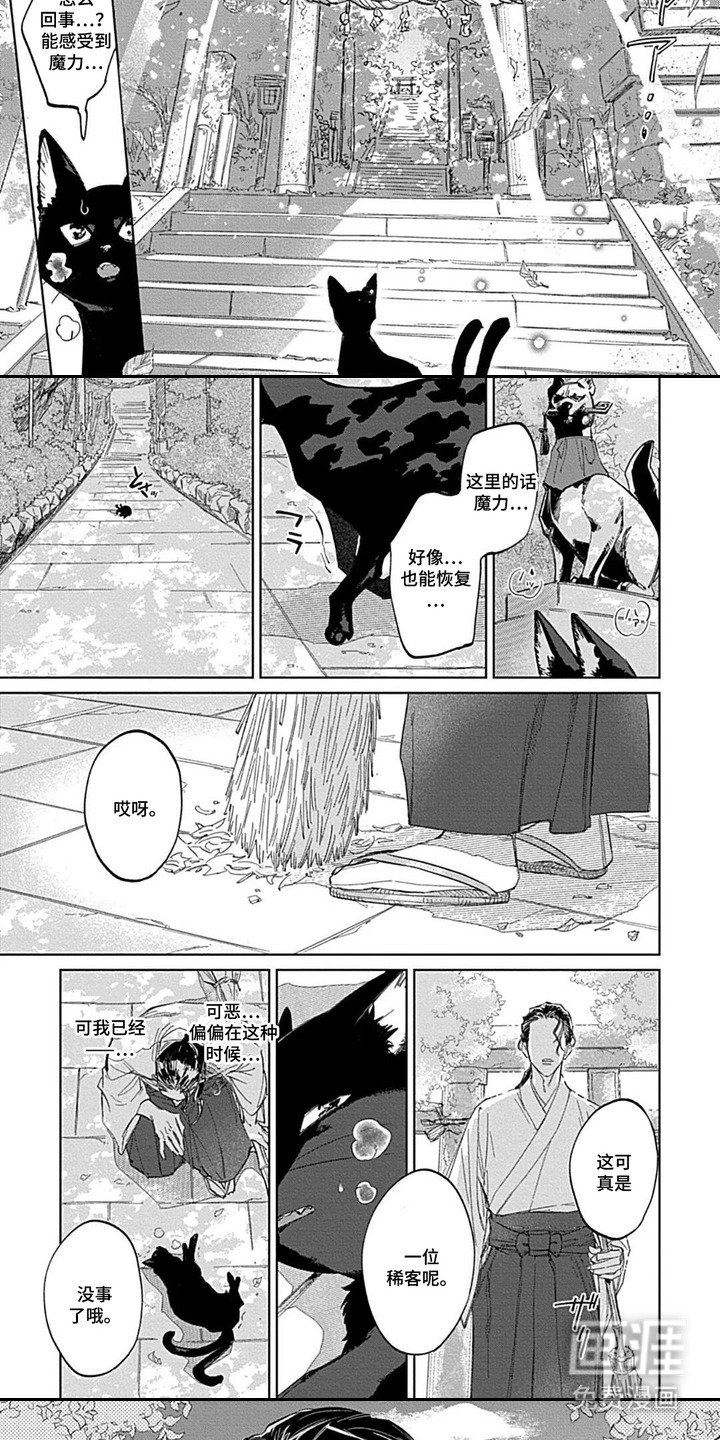 第1章：猫又