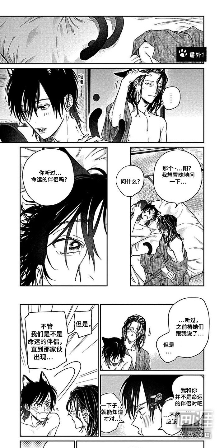 第12章：【番外】十分特别