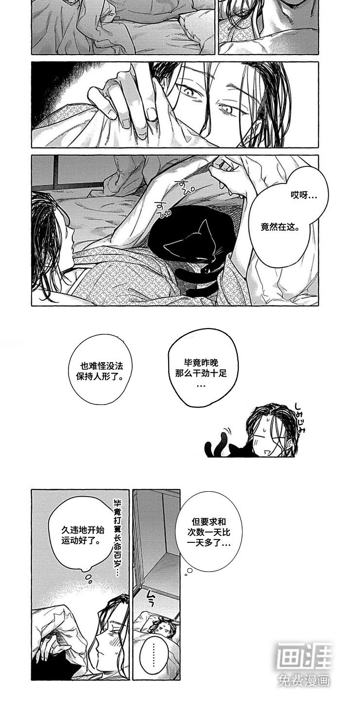 第12章：【番外】十分特别