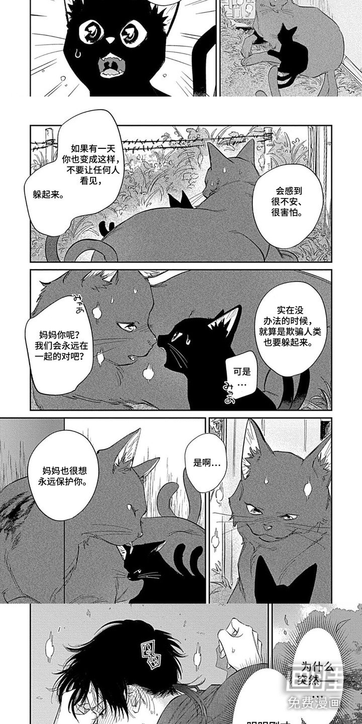 第5章：发热