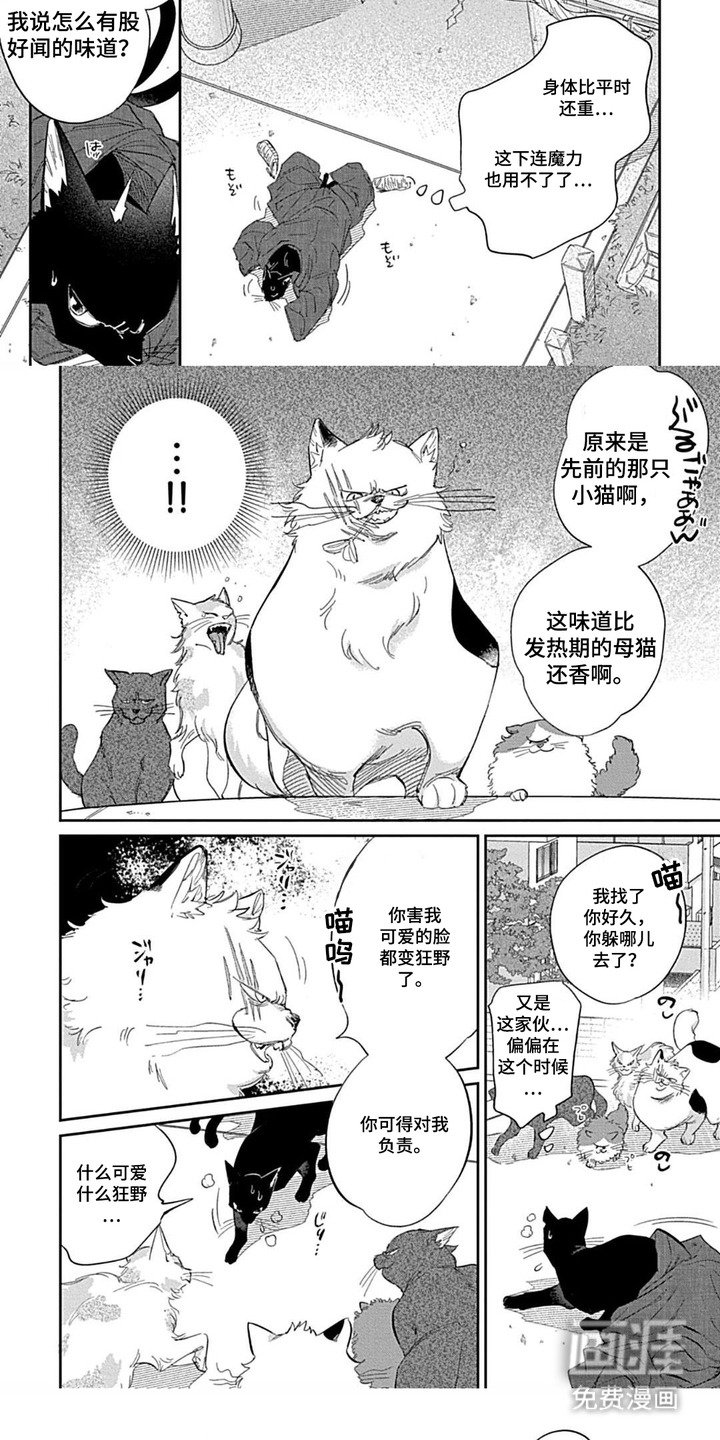 第5章：发热