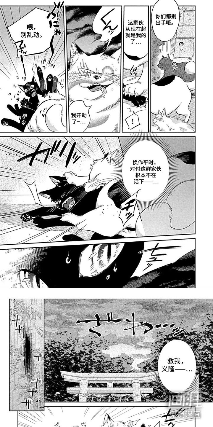 第5章：发热