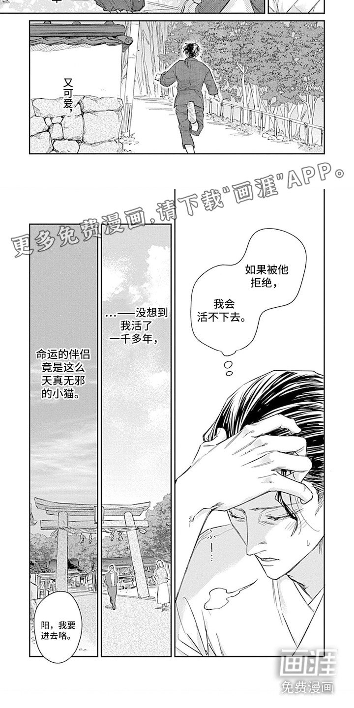 第8章：成长很快