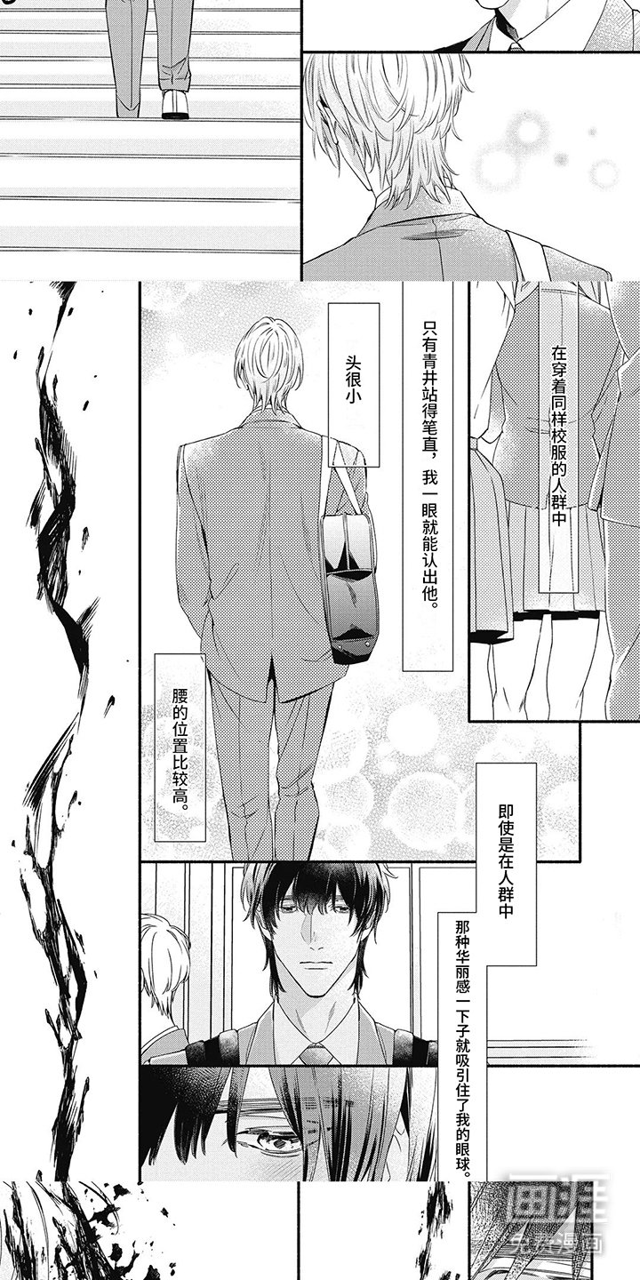第24章：西红柿