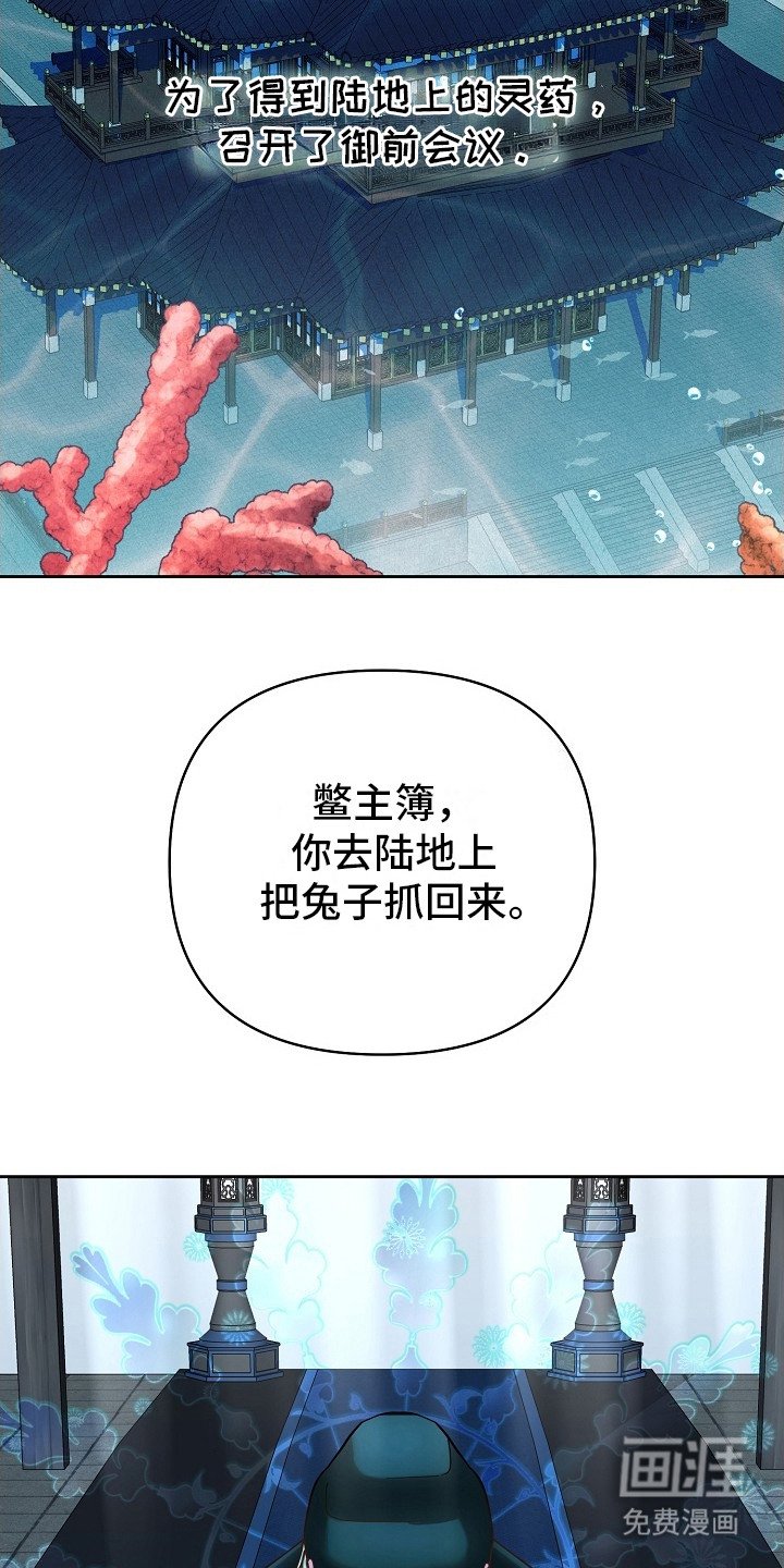 第1章：命令