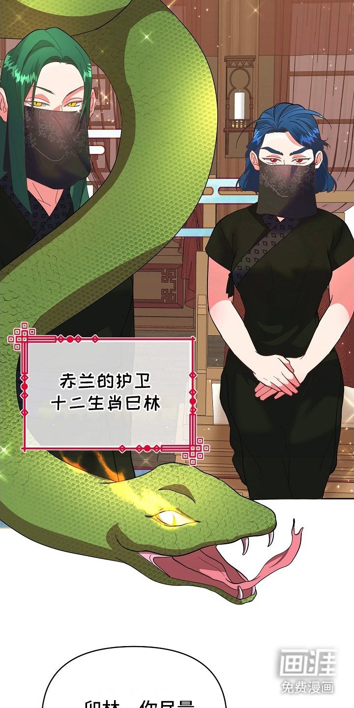 第12章： 议论
