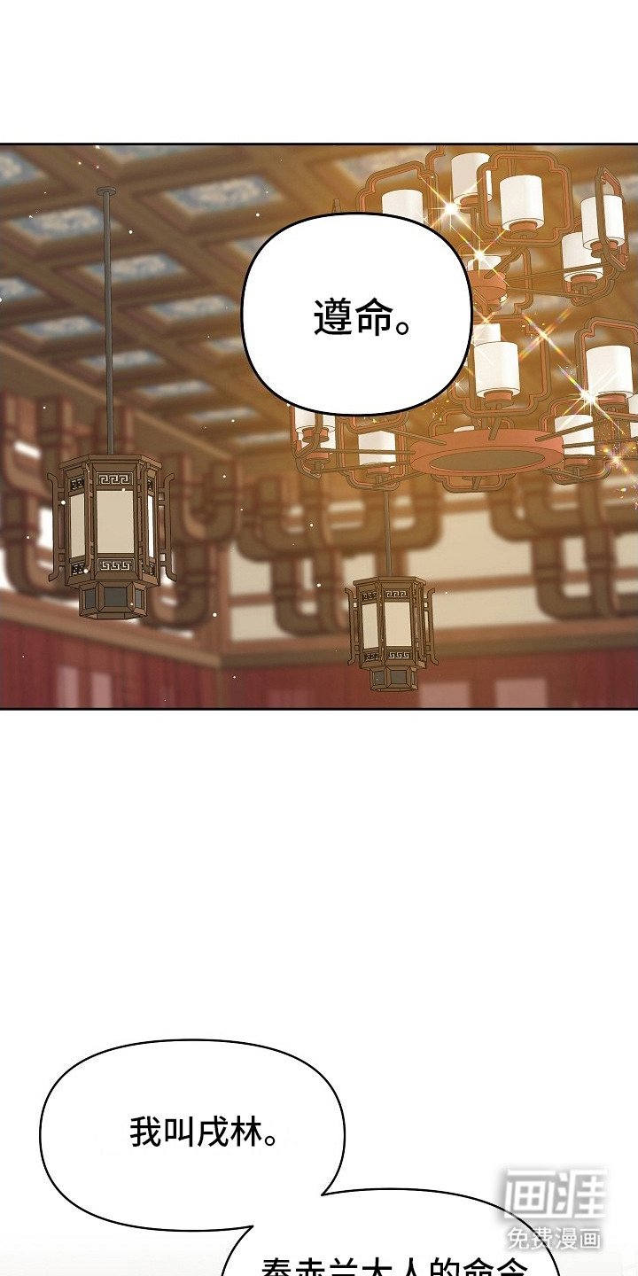第13章：护卫