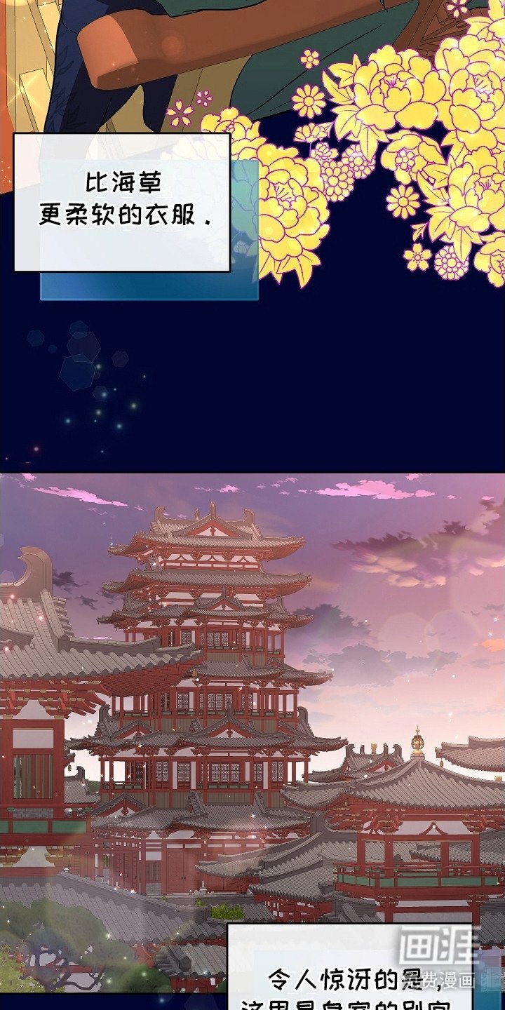 第14章： 胡思乱想
