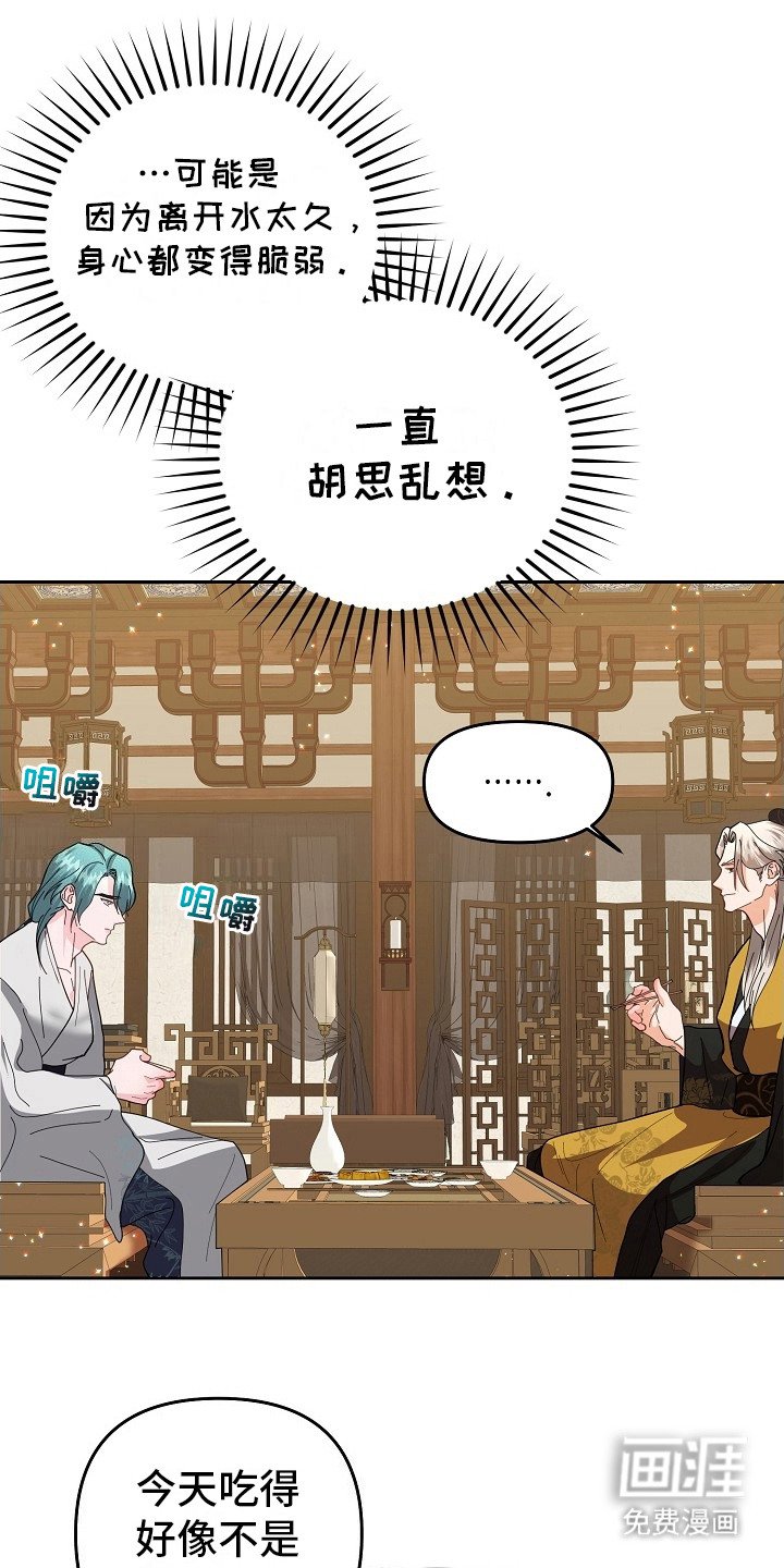 第16章：应付