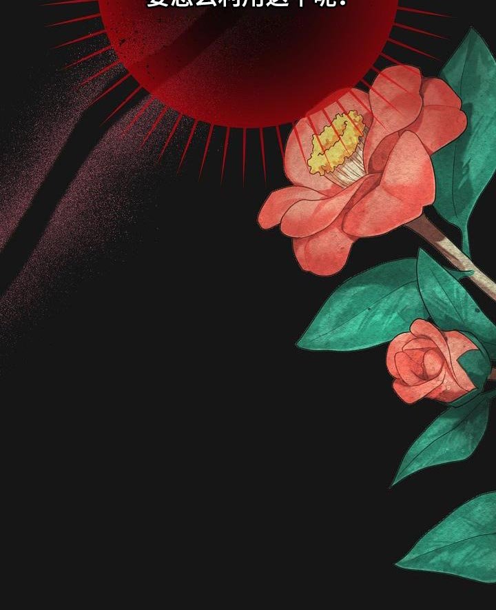 第26章：利用