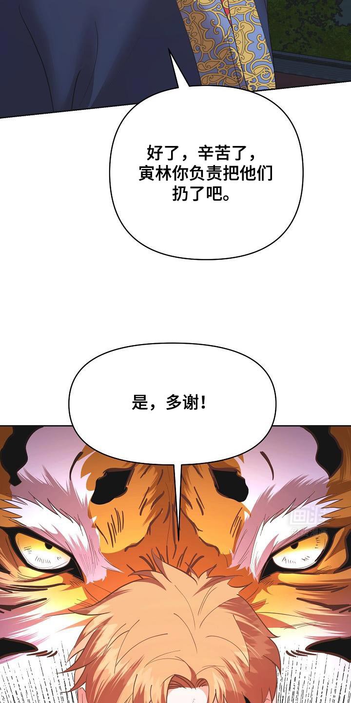 第29章：其他的兴趣