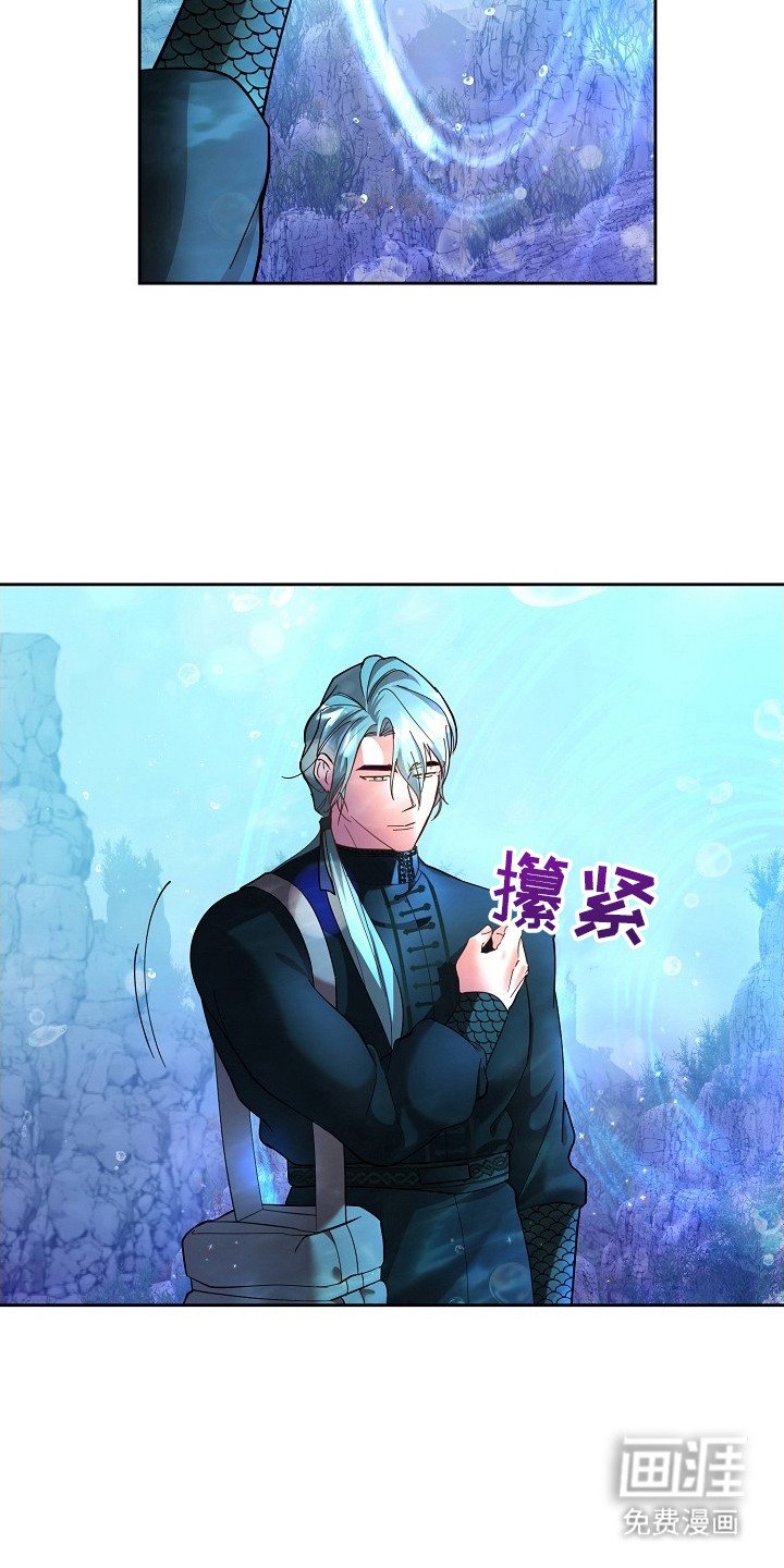 第3章：陆地