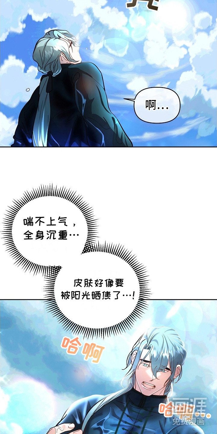 第3章：陆地