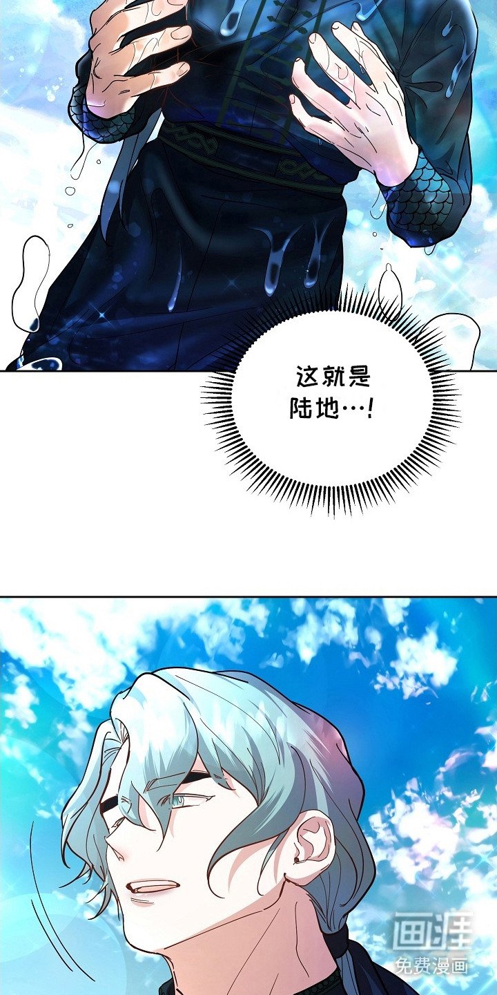 第3章：陆地