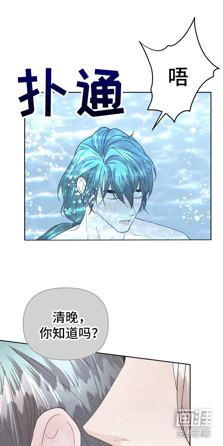 第45章：区别