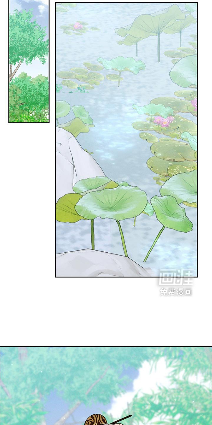 第51章：没有记忆