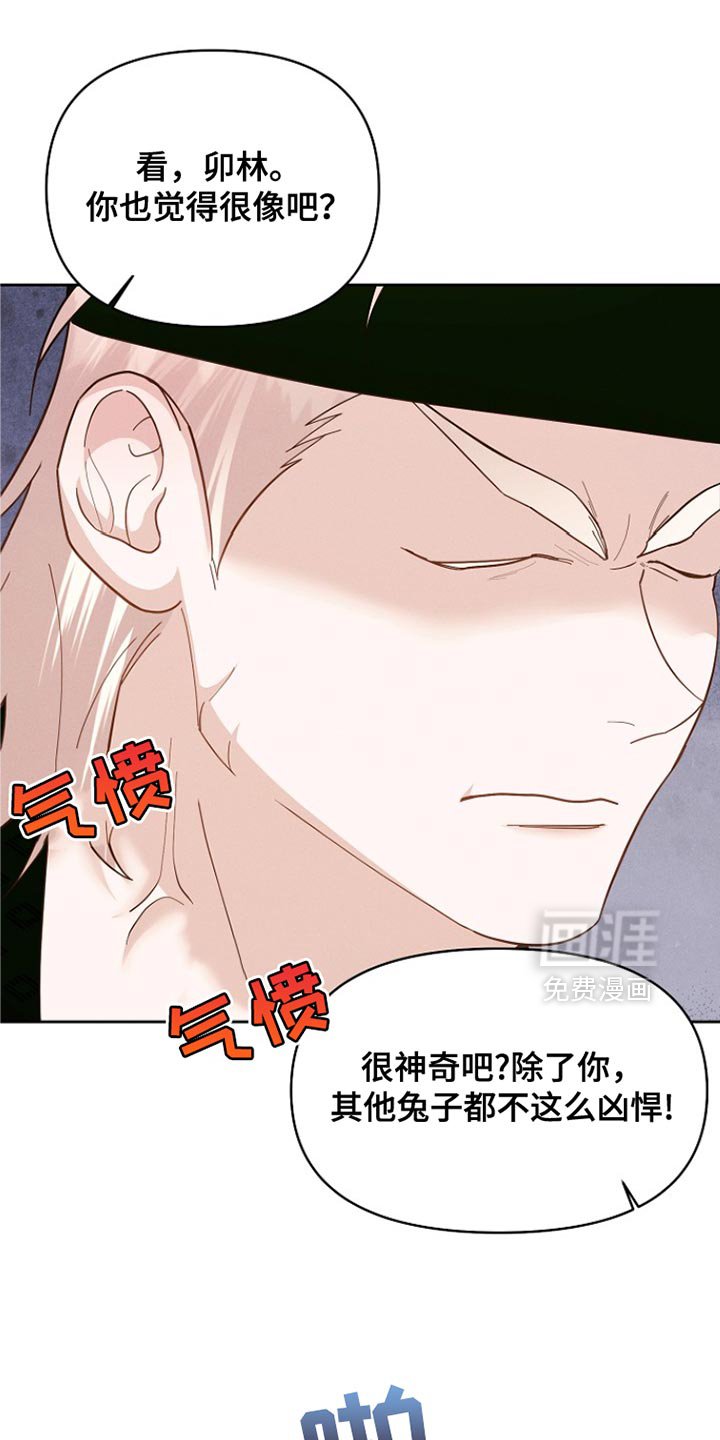 第52章：一点也不像！