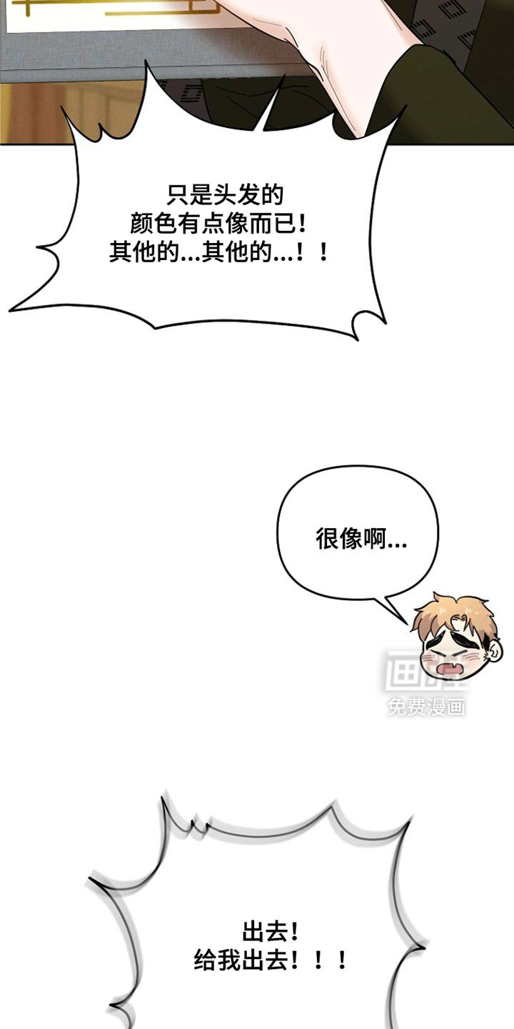 第52章：一点也不像！