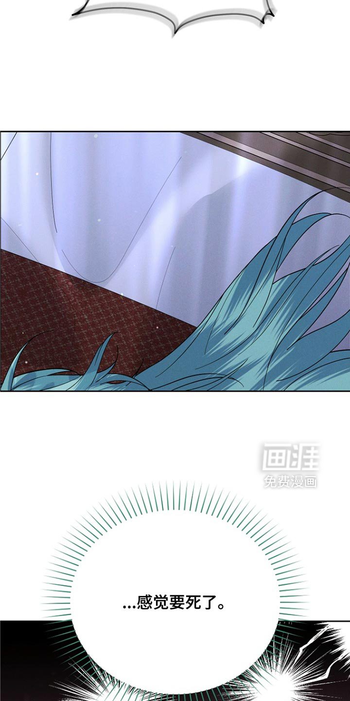 第52章：一点也不像！