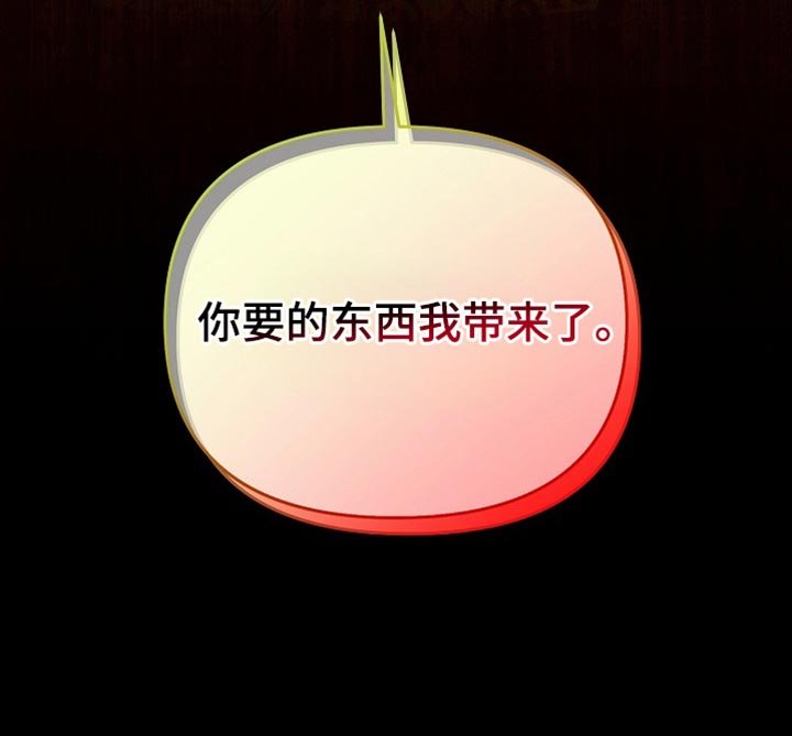 第60章：你要的东西我带来了