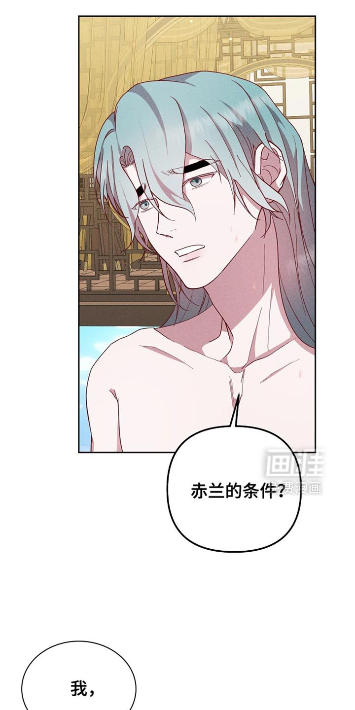 第73章：我的条件