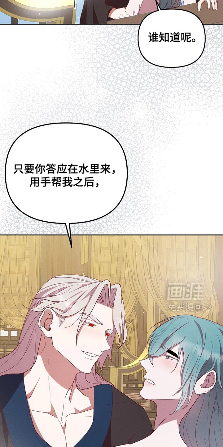第74章：兔子的肝（第一季完结）