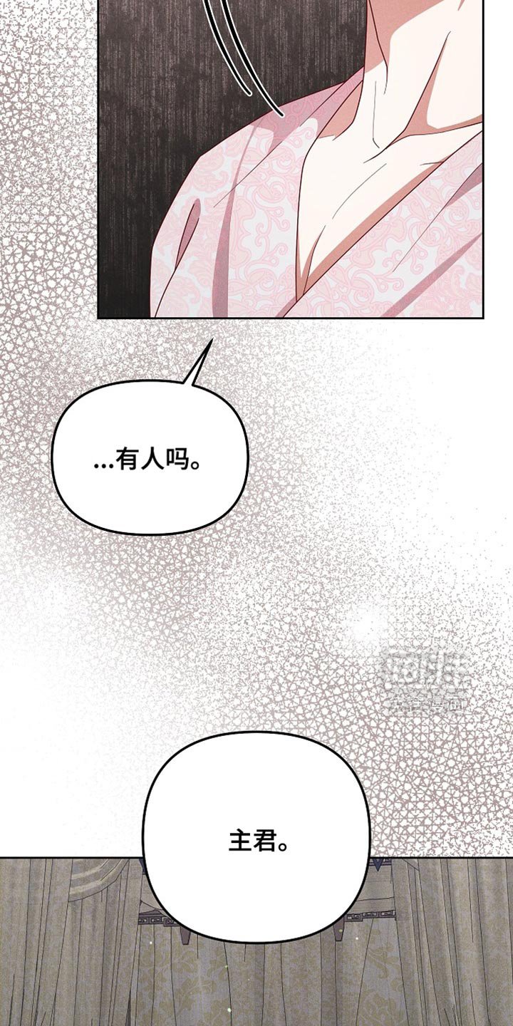 第74章：兔子的肝（第一季完结）