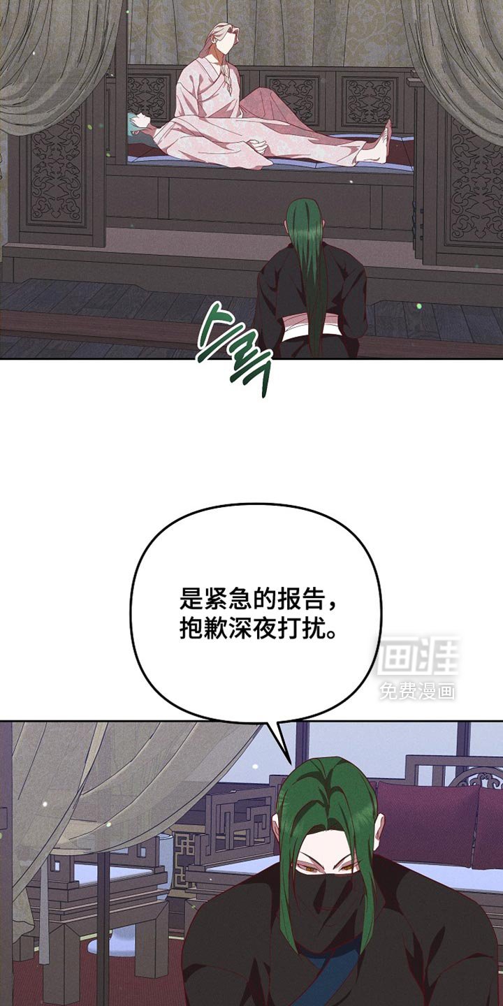 第74章：兔子的肝（第一季完结）