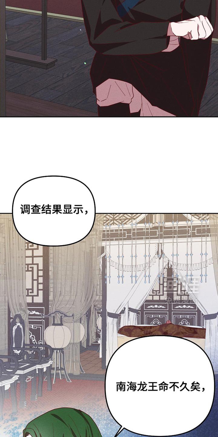 第74章：兔子的肝（第一季完结）