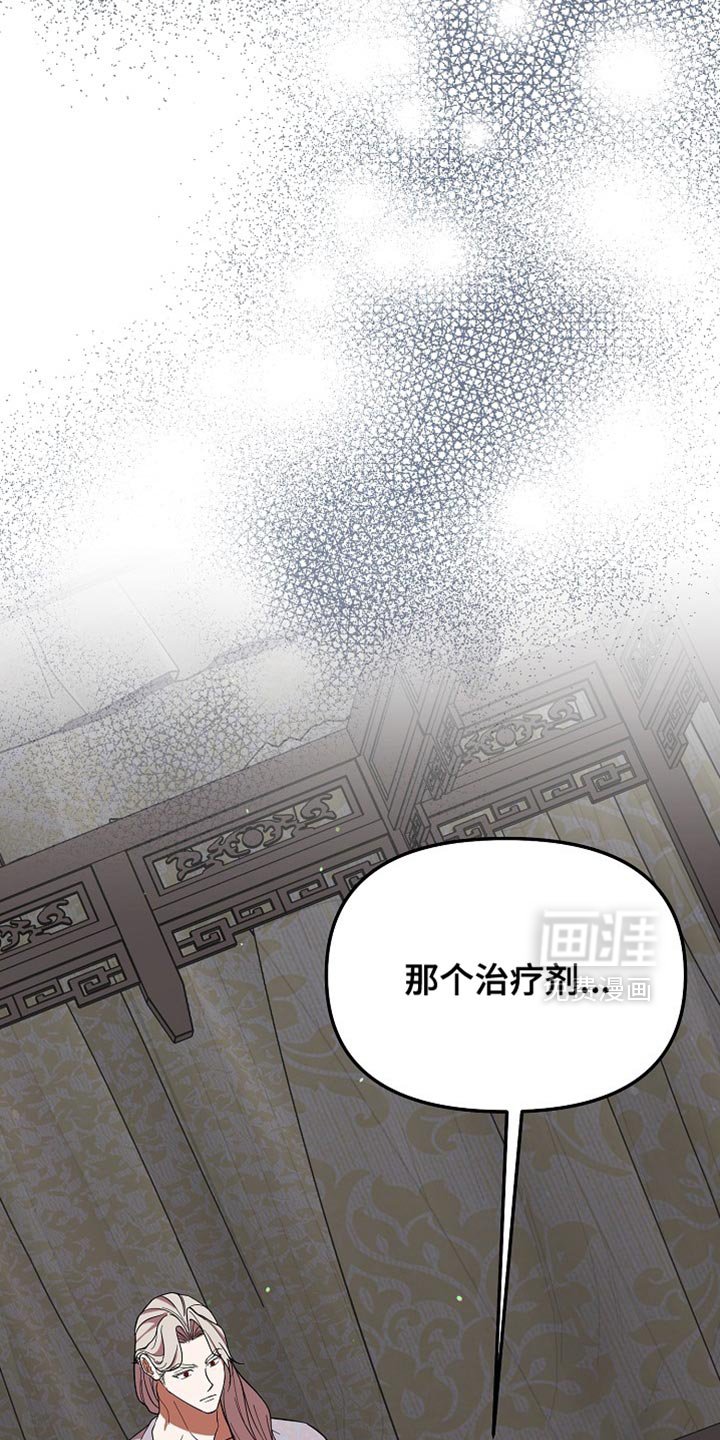 第74章：兔子的肝（第一季完结）