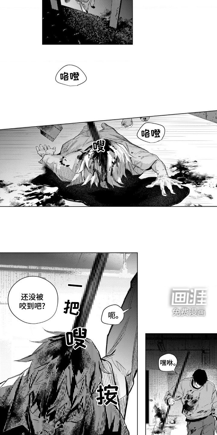 第17章：僵尸
