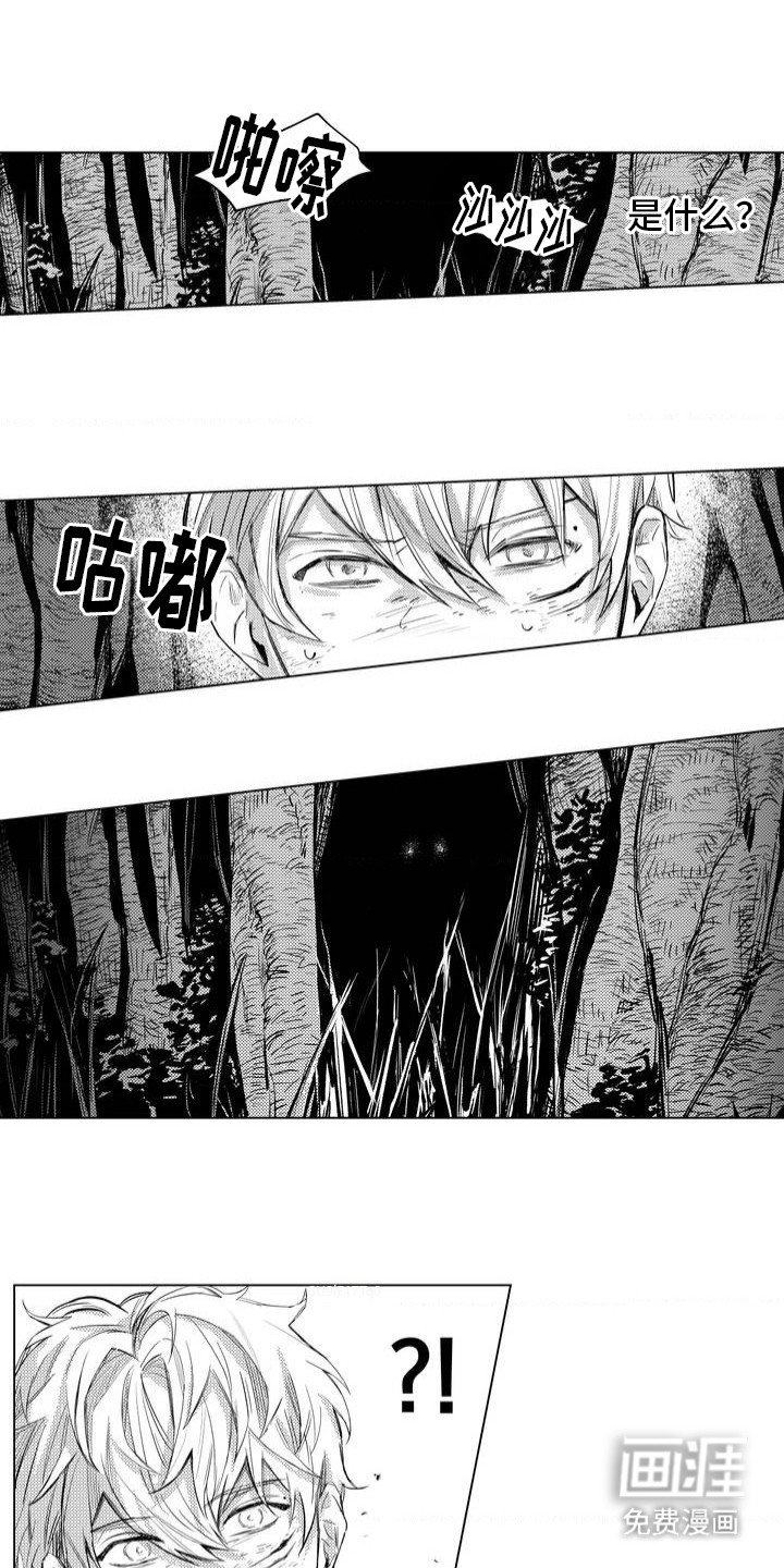第2章：林中小屋