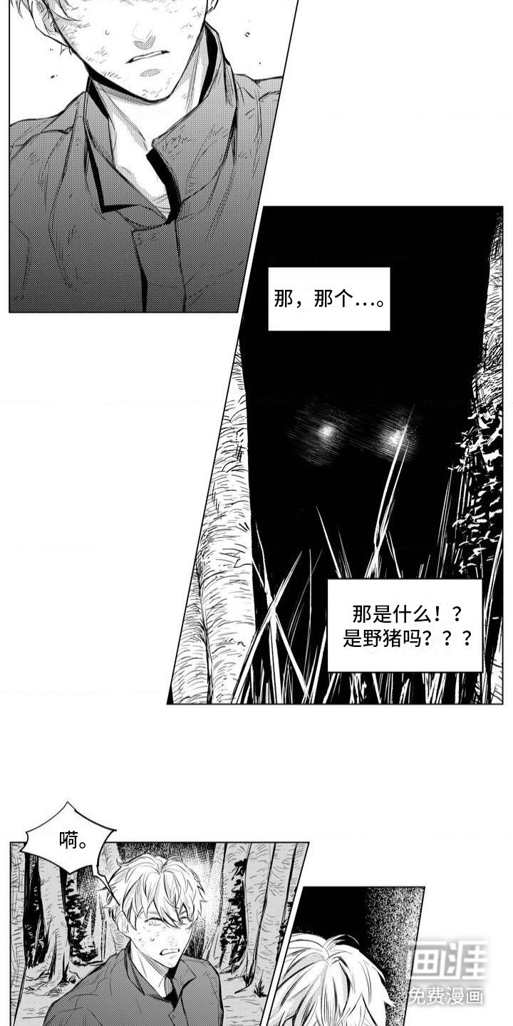 第2章：林中小屋